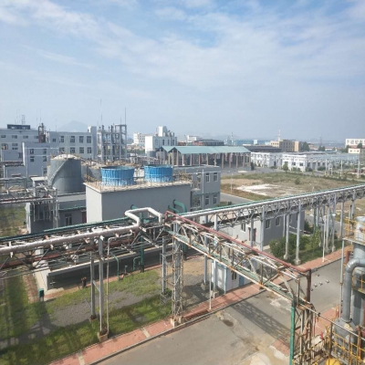 大连绿峰化学股份有限公司厂区安防监控维护